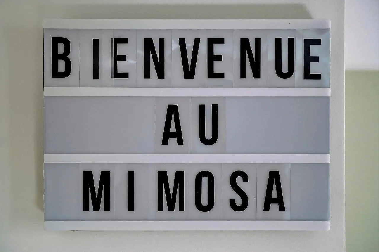 Mimosa-200M Plage-4Minpalais-Verriere Cote D'Azur Daire Cannes
